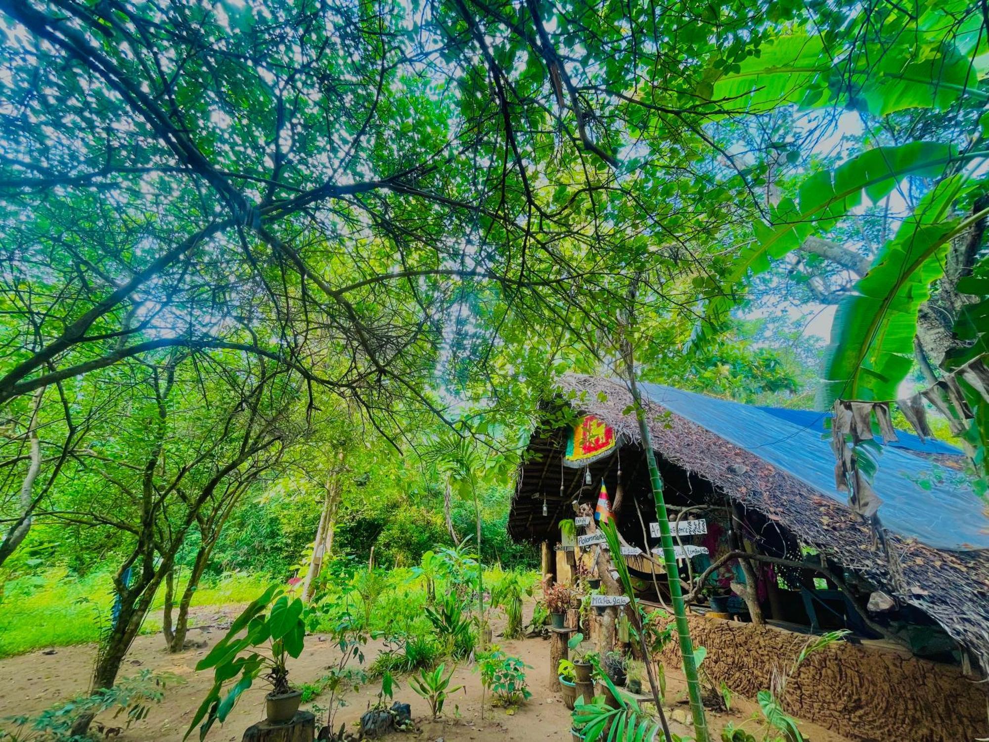 Sigiriya Rastha Hostel Buitenkant foto
