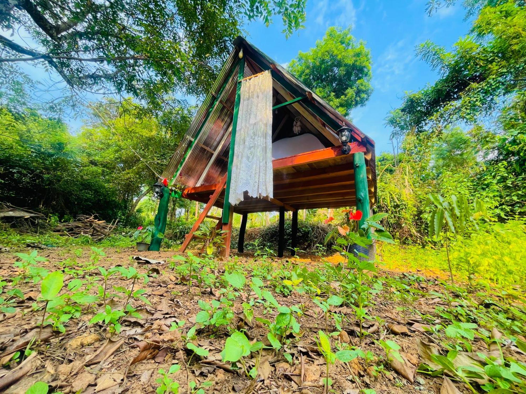 Sigiriya Rastha Hostel Buitenkant foto